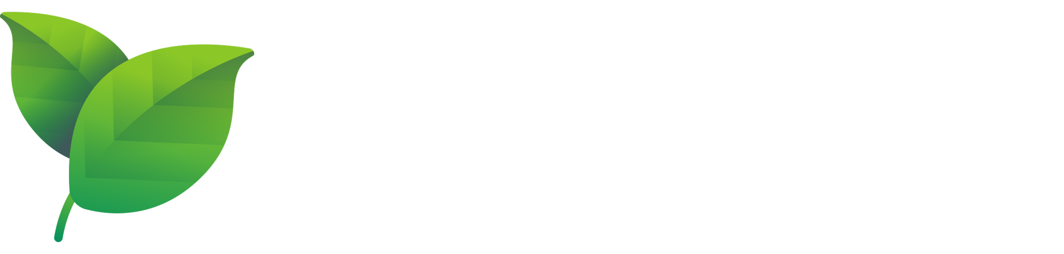 FirstCloze